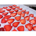 IQF Freezing Organic Strawberry HS-16090907